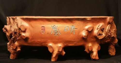 Vaso bonsai vintage terracotta - vaso,