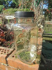 Barattolo da negozio dolce in