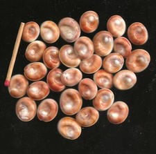 30 OCCHI DI SANTA LUCIA 