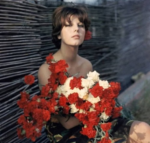 Immagine fotografica vintage - immagine,