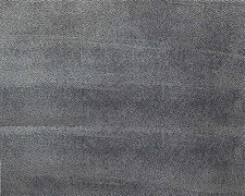 Faller 170826 Scala HO