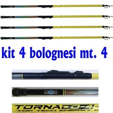 Bolognese canna pesca - mt.,