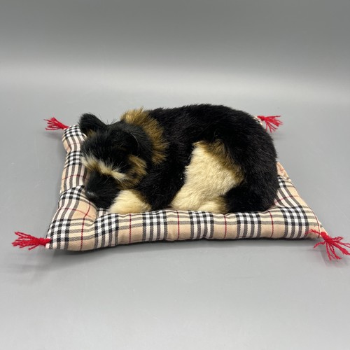 Cuscino vintage cane