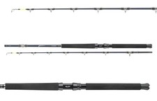 Daiwa Tanacom Ultra Deep 2,10 m 400-1000 g canna da barca canna d'altura