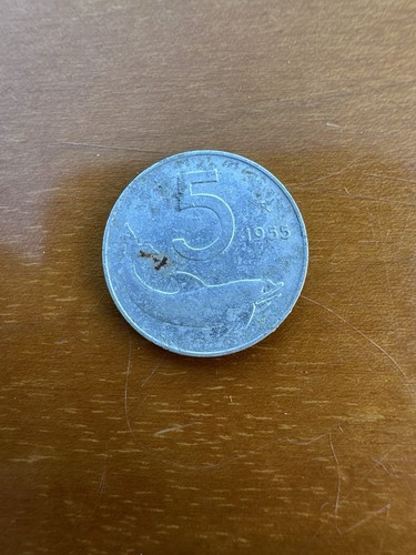 Moneta lire 1955 - ,