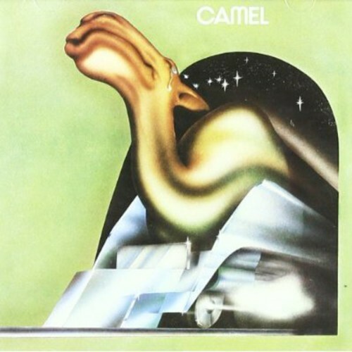 Camel - camel, by