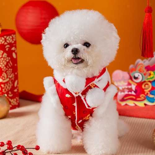 Vestiti per cani - , con