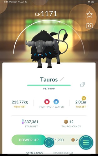 Pokémon paldean tauros - paldean,