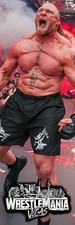 BANNER VINILE WWE GIGANTE