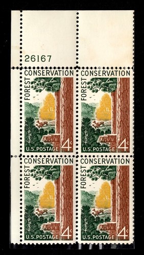 Blocco targhe conservazione - blocco,