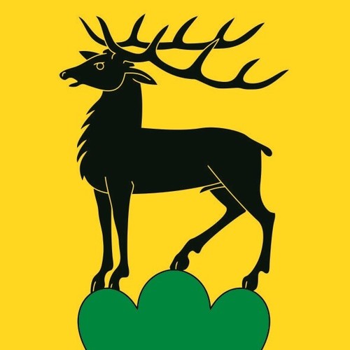 Bandiera eglisau - bandiera,