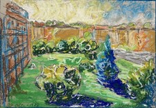 Verde Cortile Con Büschen