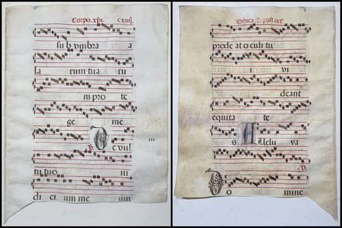 Antiphonario pergamena - antiphonario,