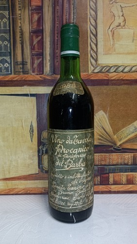 Vino 1982 procanico - vino,
