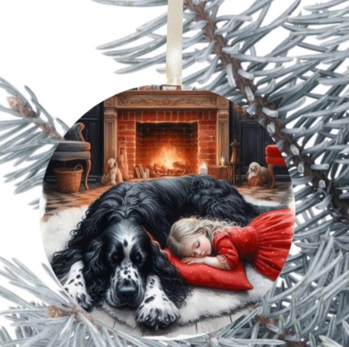 Setter regalo per cani - setter,