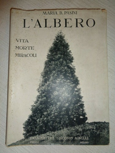 Albero vita morte miracoli - l'albero,