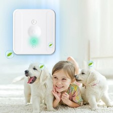 Lettiera per gatti per