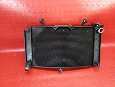 RADIATORE ACQUA YAMAHA FZ8-S