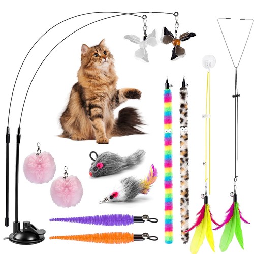 Gioco per gatto - gatto,,