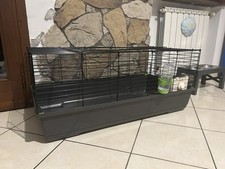 gabbia per porcellini d’india