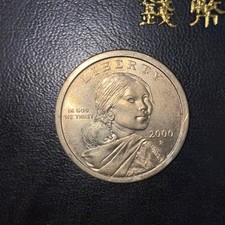 MONETA DOLLARO NATIVI