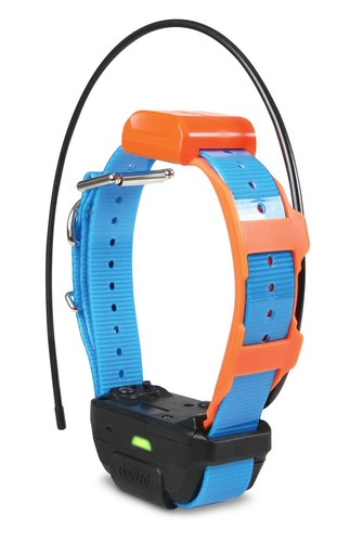 Dogtra pathfinder2 trx collare - dogtra,