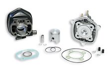 MALOSSI 318556 GRUPPO TERMICO