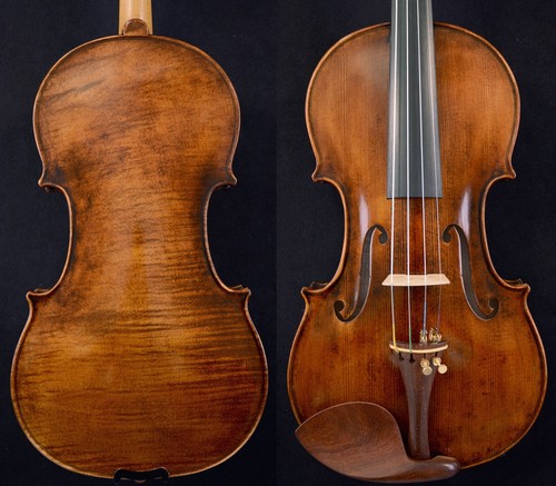 Fantastico violino suono - fantastico,
