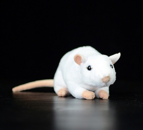 Peluche topo bianco carino