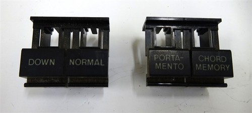 Tappi bottoni roland alpha - bottoni,