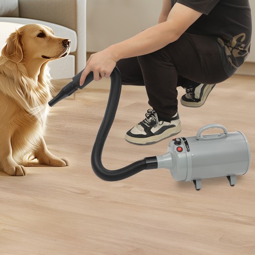 Asciugacapelli per animali