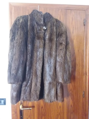Vendo pelliccia castoro - vendo,