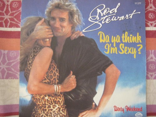 Rod stewart vinyle - stewart,