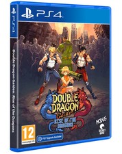 Double Dragon Gaiden: L'Ascesa