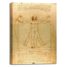 da Vinci uomo vitruviano