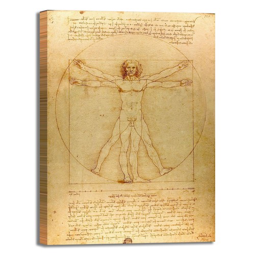 Vinci uomo vitruviano - da,