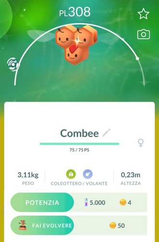 Pokemon combee - combee, ✨