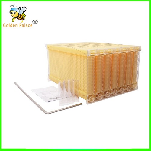 Golden palace7 cornici - palace7,