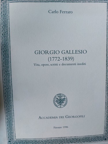 Ferraro guorgio gallesio mp6 - guorgio,
