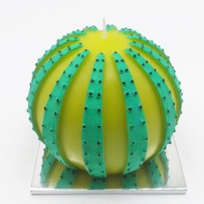 Candela Cactus Design - Scegli la Misura