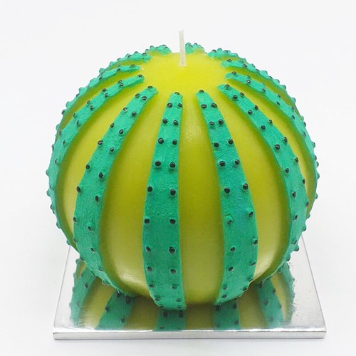 Candela cactus design scegli - design,