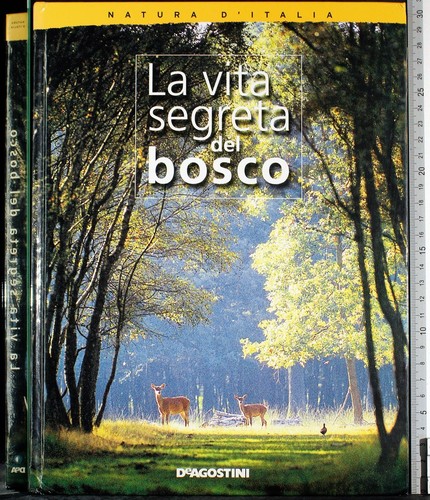 Vita segreta del bosco - vita,
