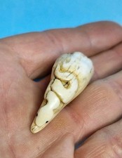 Serpente Netsuke 