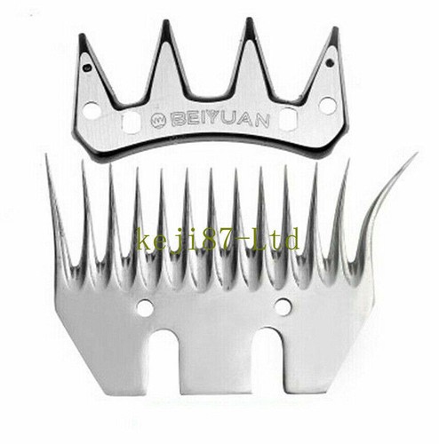 1set acciaio denti beiyuan - 1set,