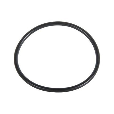 Ring per filtro 244 hymfi - o-ring,