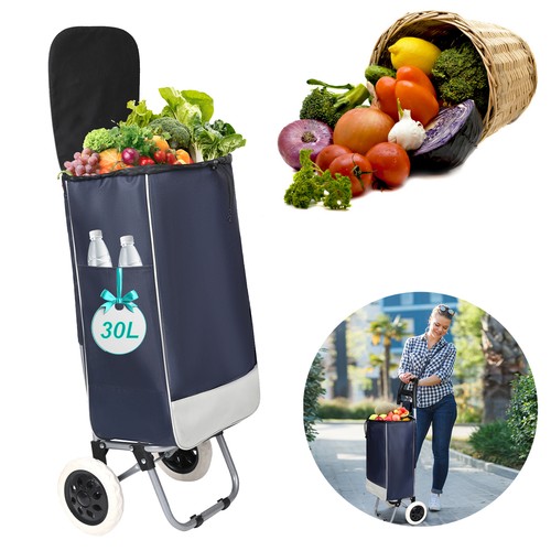 Carrello della spesa
