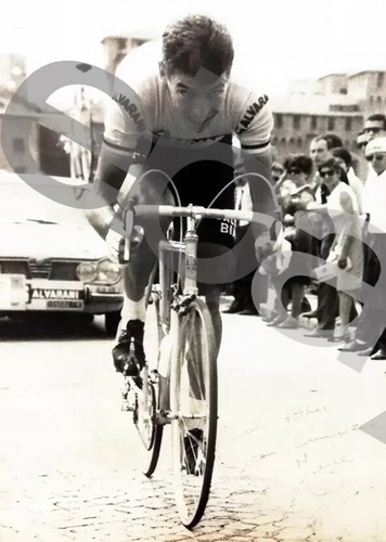 Ristampa foto ciclismo felice - foto,
