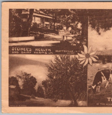 1944 Steiner's Health & Dairy