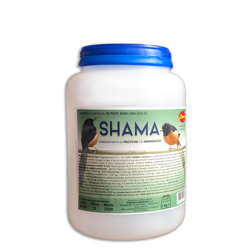 Canary shama concentrato - shama,