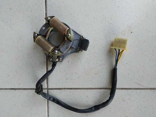 Magnete statore accensione - magnete,